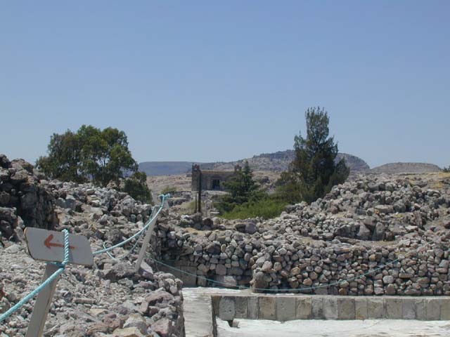 DSCN0106