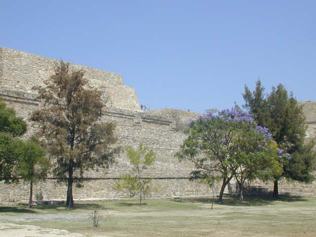 DSCN0047