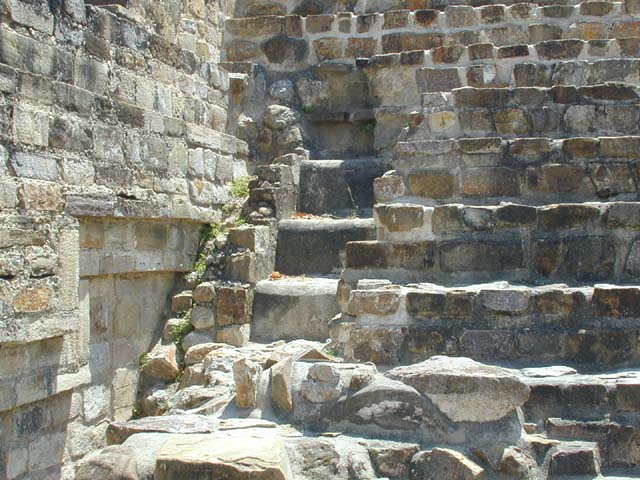 DSCN0058