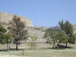 DSCN0047