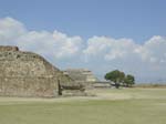 DSCN0055