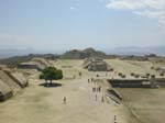 DSCN0084