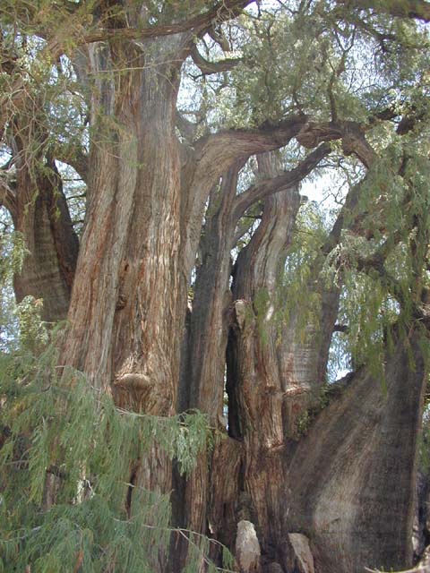 DSCN0134
