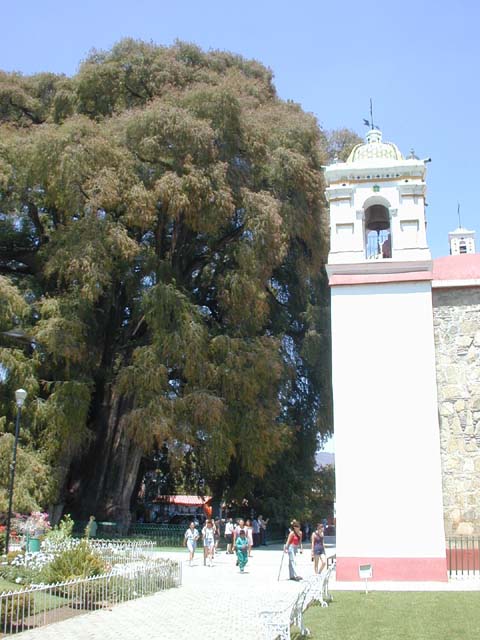DSCN0137