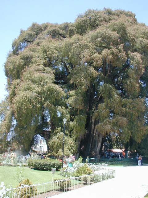 DSCN0138