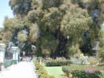 DSCN0136