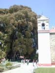 DSCN0137