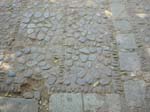 DSCN0145