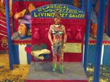 tinkertown_1269