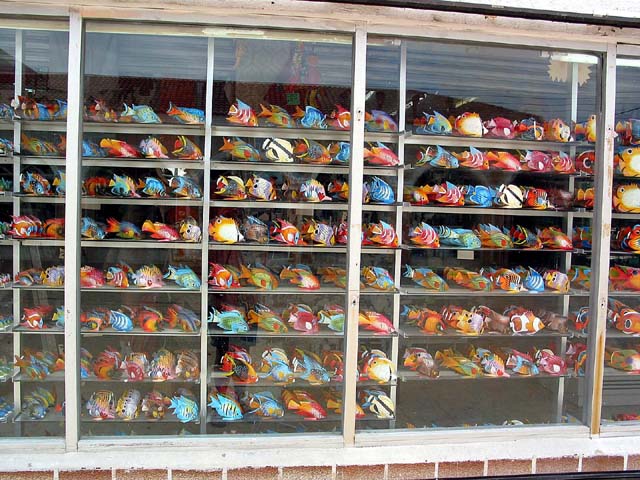 cozumel-fish-display-0157