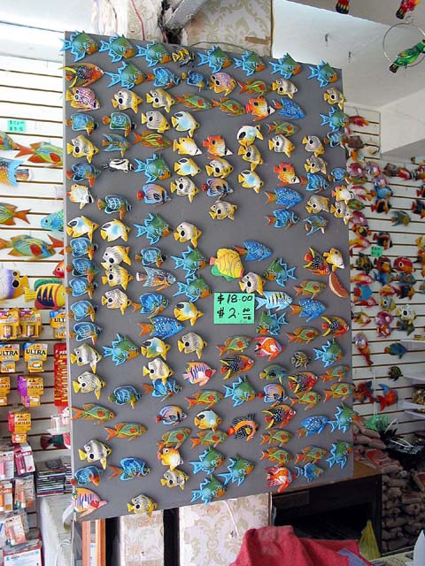 cozumel-fish-display-0159
