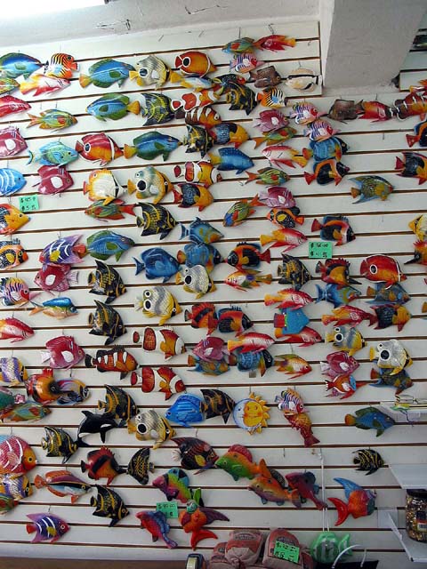 cozumel-fish-display-0160