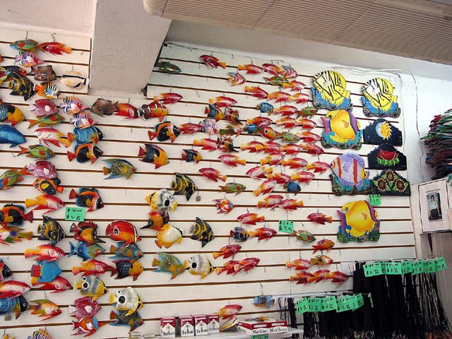 cozumel-fish-display-0161