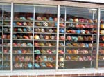 cozumel-fish-display-0157