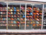 cozumel-fish-display-0158