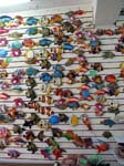 cozumel-fish-display-0160
