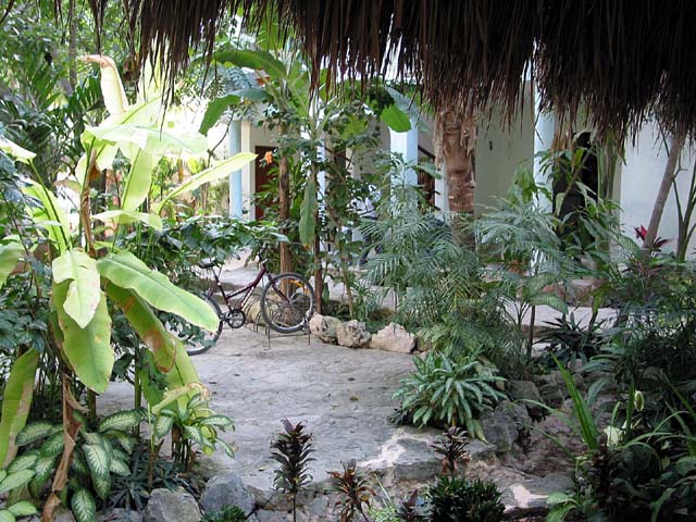 zanzibar-garden-0338