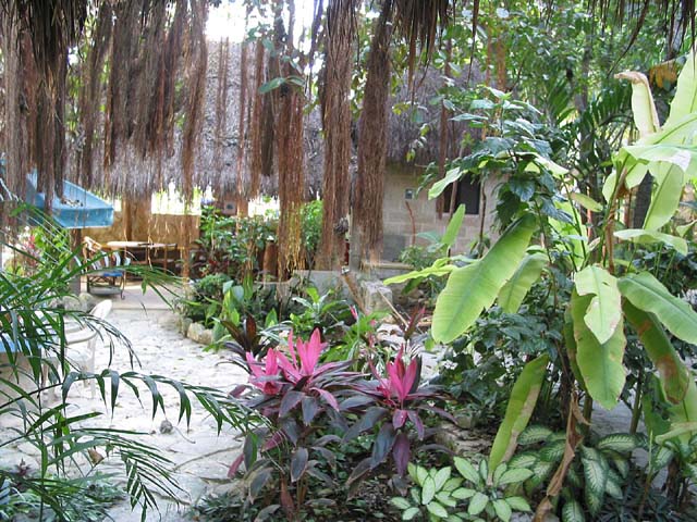 zanzibar-garden-0339