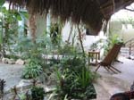 zanzibar-garden-0337