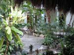 zanzibar-garden-0338