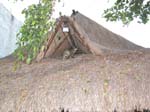 playa-roof-cat-0091