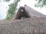 playa-roof-cat-0092