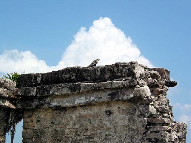 tulum-lizard-building-0251