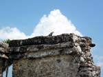 tulum-lizard-building-0251