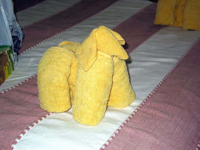 towels-dog-sheep-0332