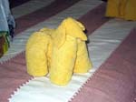 towels-dog-sheep-0332