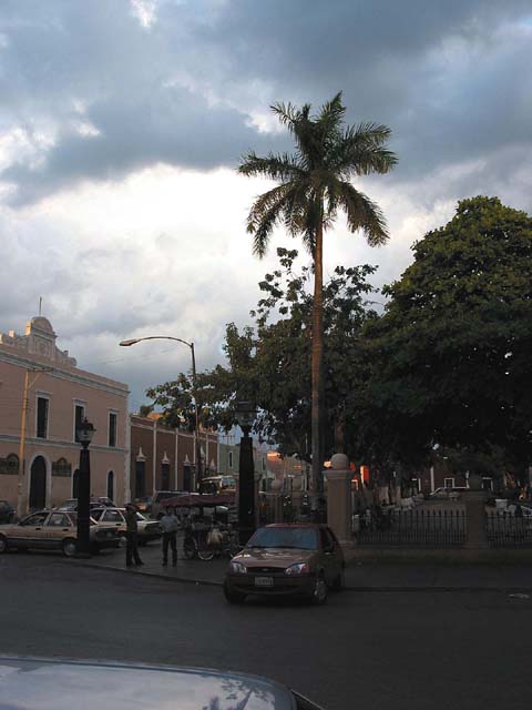 valladolid-park-palm-0444