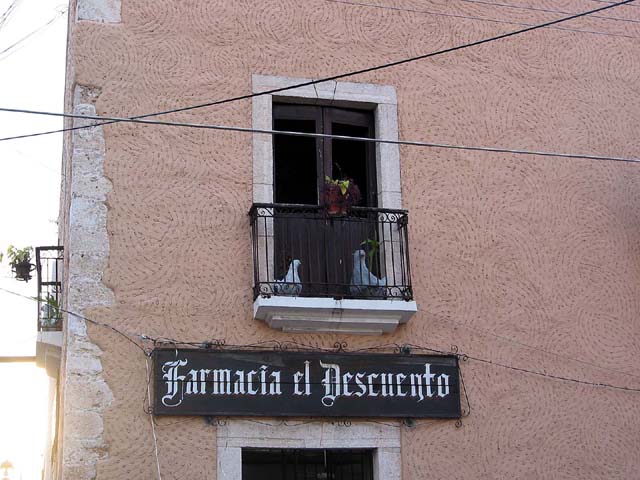 valladolid-pharmacy-0443
