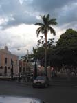 valladolid-park-palm-0444