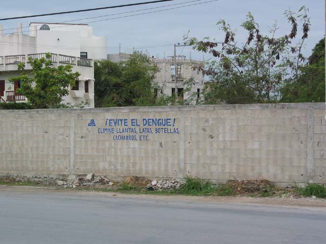 playa-vocab-dengue-0147